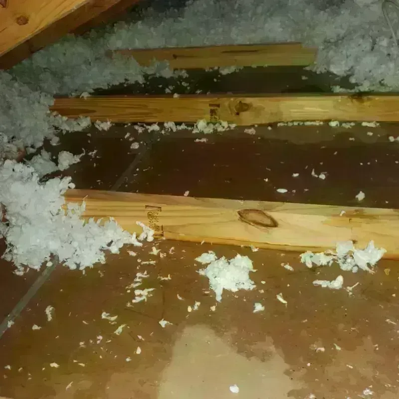 Attic Water Damage in Vernal, UT