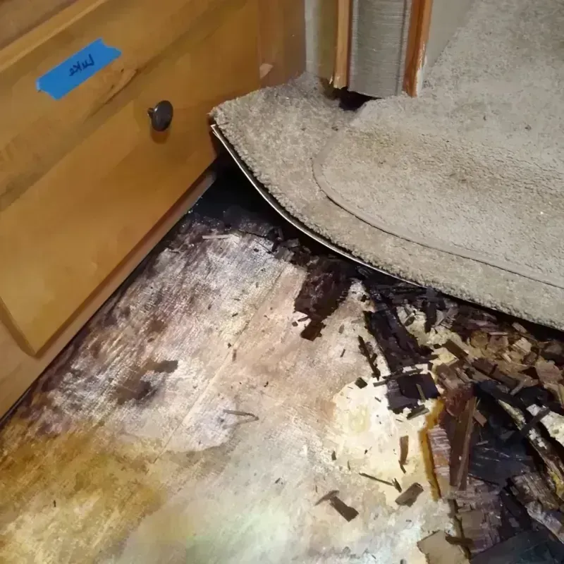 Wood Floor Water Damage in Vernal, UT